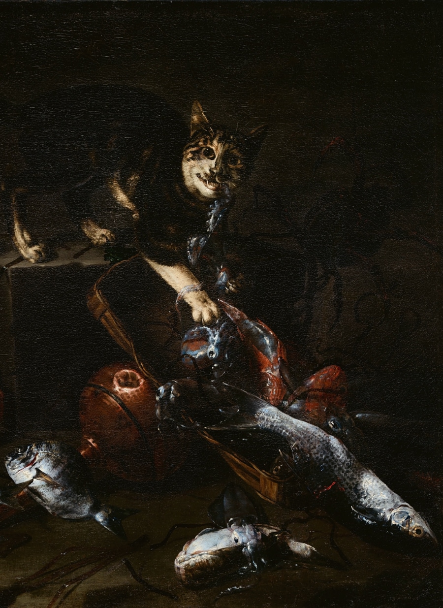 A Cat Stealing Fish from La Dolce Gatta